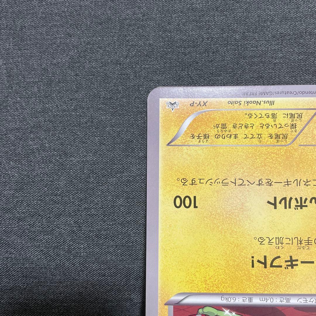 XY-P ピカチュウ ジャンボカード トイザらス クリスマスフェア プロモ