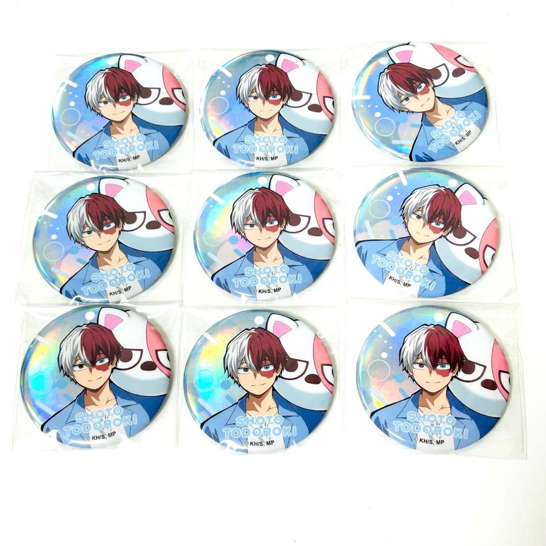 僕のヒーローアカデミア TOHO アニマルビーチボール オーロラ缶バッジ