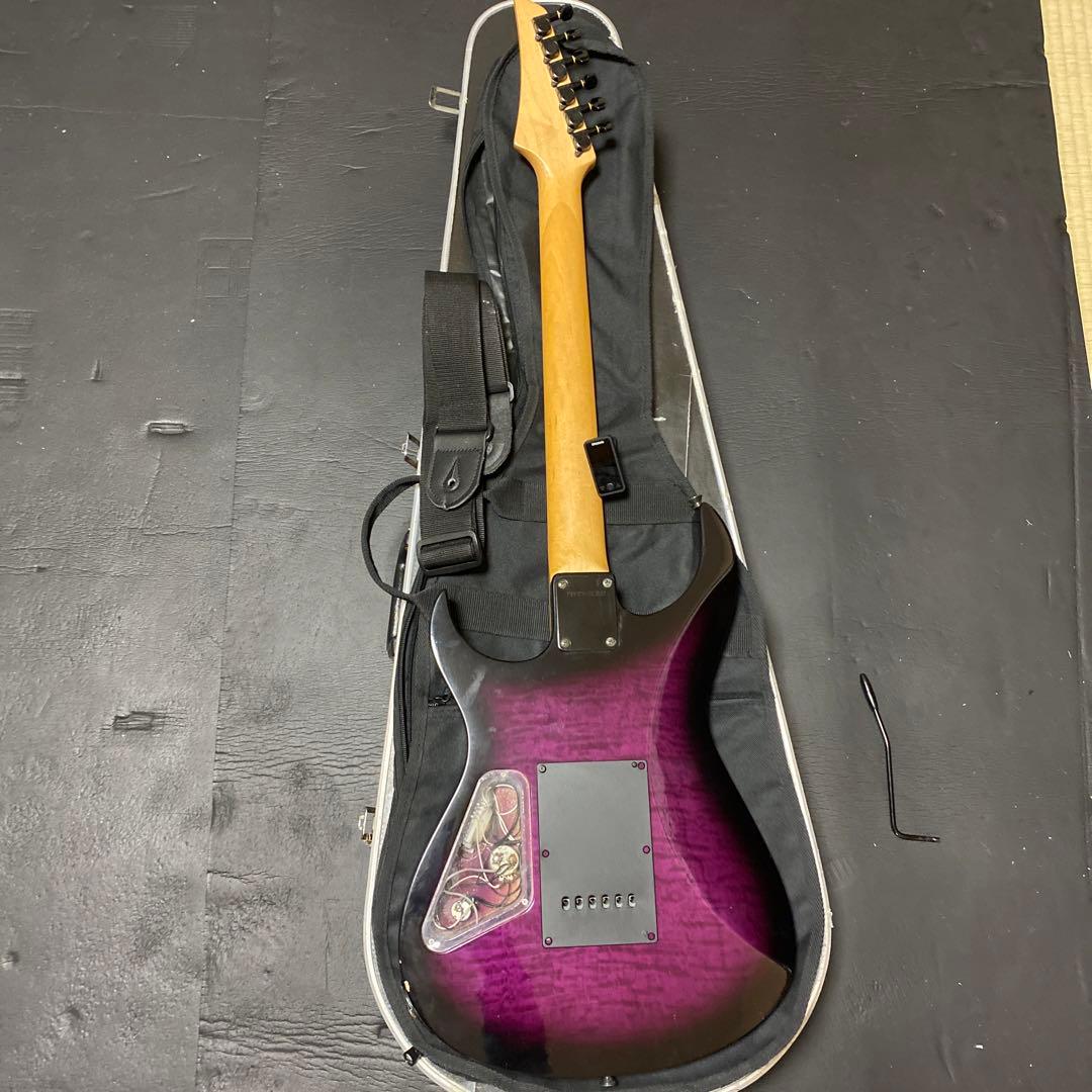 FERNANDES FGZ400 トレモロアーム・ケース付 - メルカリ