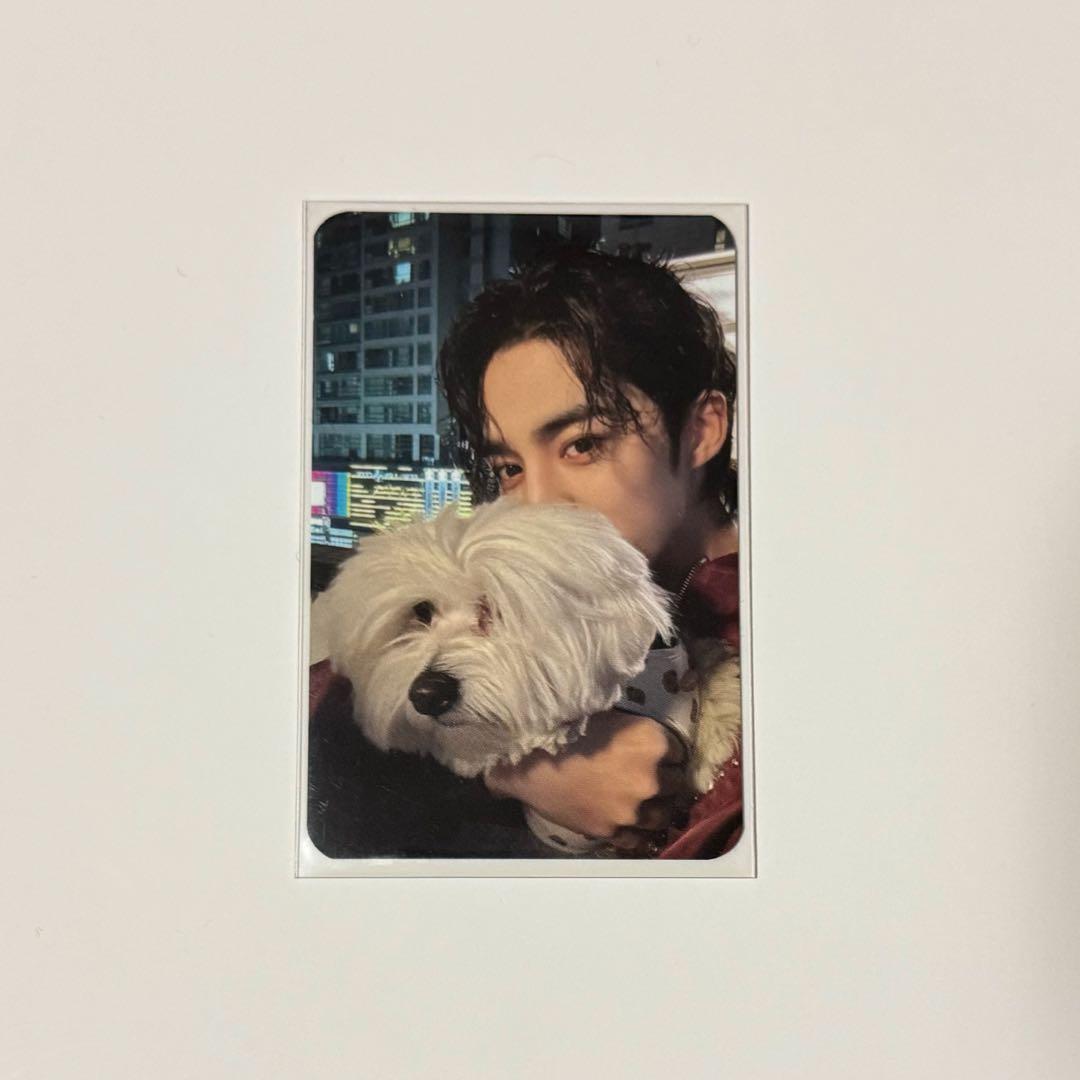 SEVENTEEN FML エスクプス クマ YES24 特典 トレカ