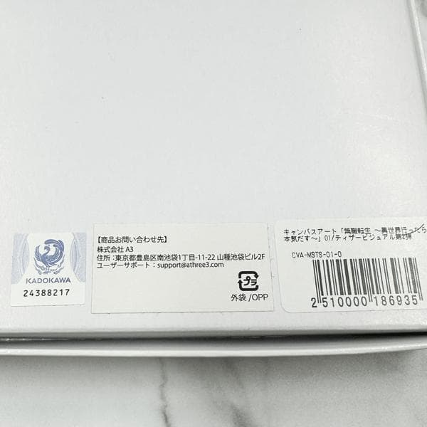 公*o様 未使用・長期保管 無職転生～異世界行ったら本気だす