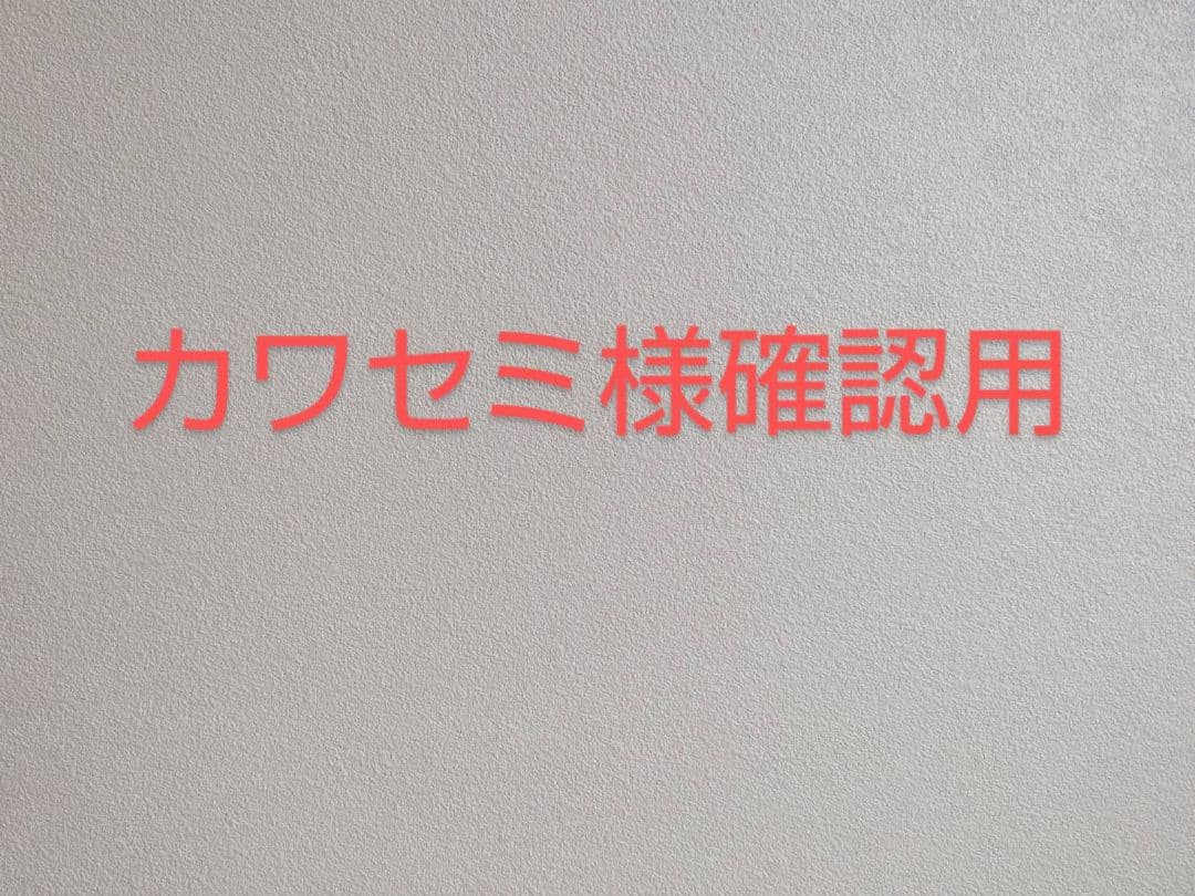 カワセミ　昆虫標本　コガネムシ