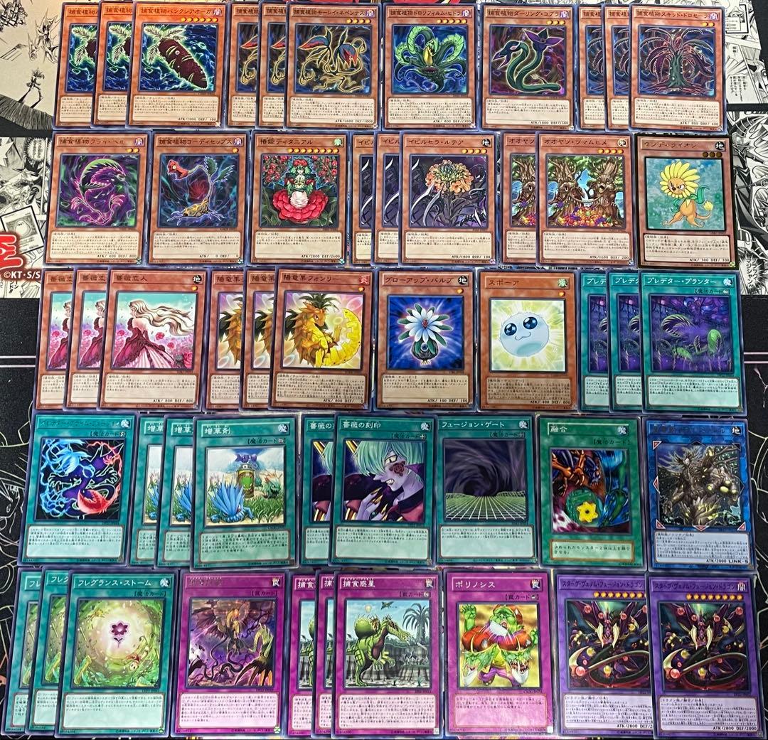 遊戯王 捕食植物 プレデタープランツ ユーリデッキ シク有り 本格構築