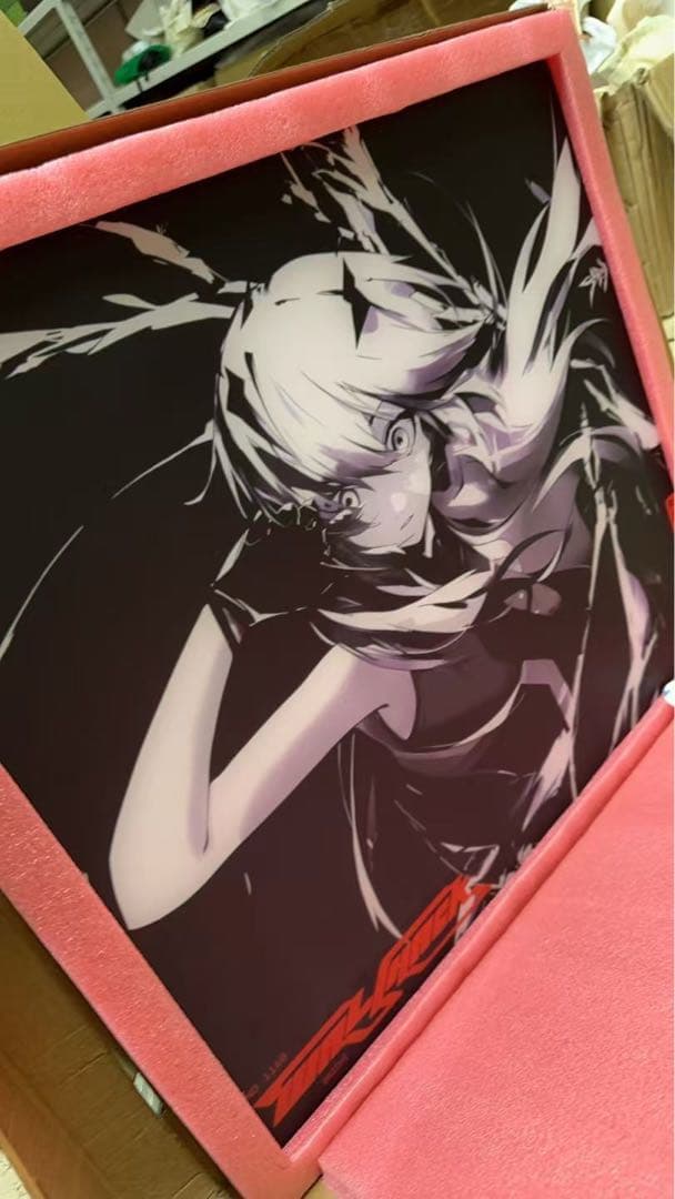 即購入歓迎 WALLHACK SY-001 Frenzy Sora