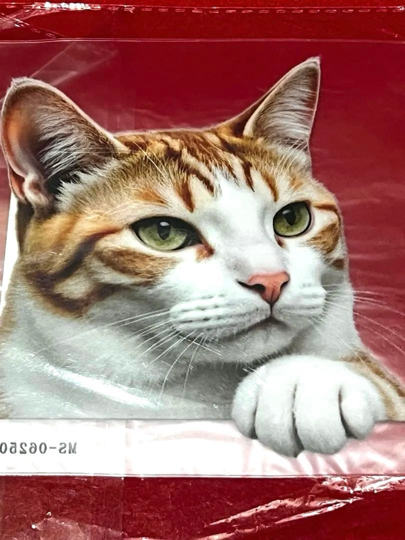 リアル猫(=^x^=)❣️ステッカー［18］ - メルカリ