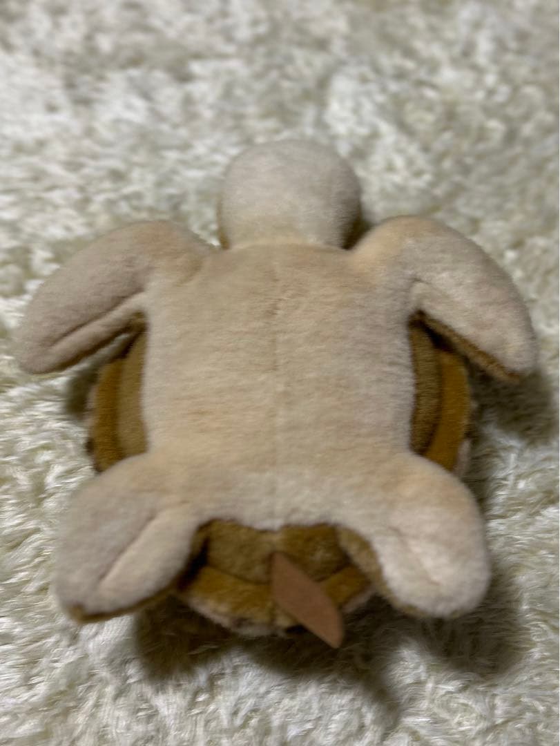 Earth Wind セキグチ製ぬいぐるみ 超希少 かめ カメ 亀 ウミガメ