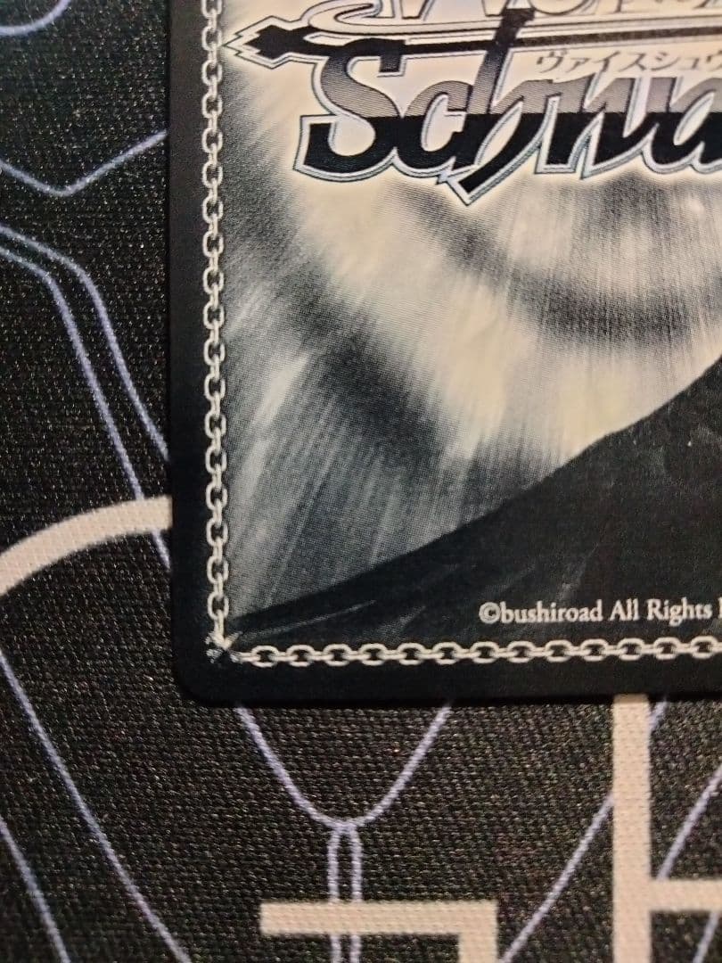 希少】 【英語版】 