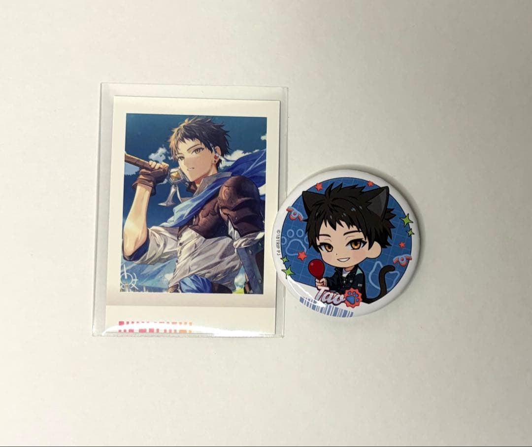 エイトリ 木ノ内太緒 まねきねこ 缶バッジ & ぱしゃこれ まとめ売り