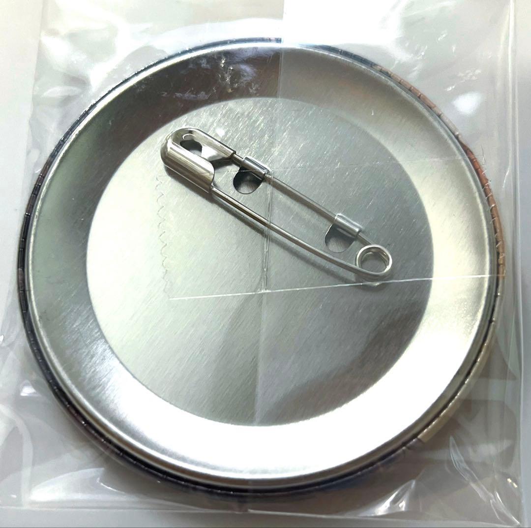 イヴ Switch 特典 缶バッジ オトメイト 終焉のヴィルシュ 終ヴィル