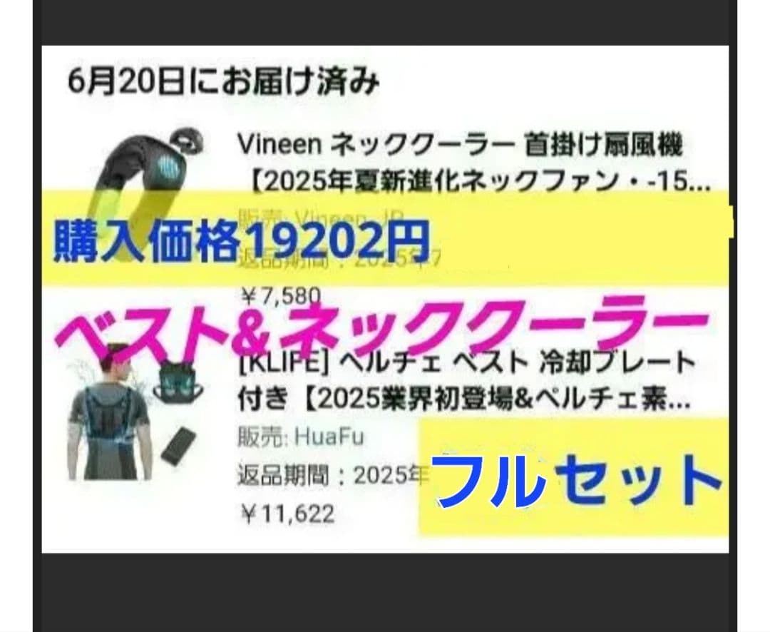 19202円分！ ペルチェベスト ネッククーラー フルセット 暑さ 冷却 新品