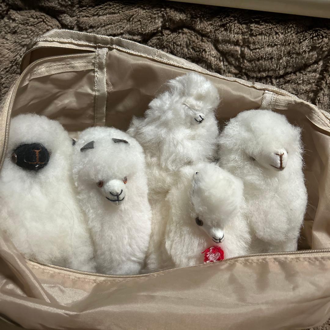 ペルー現地購入　アルパカぬいぐるみ5点セット