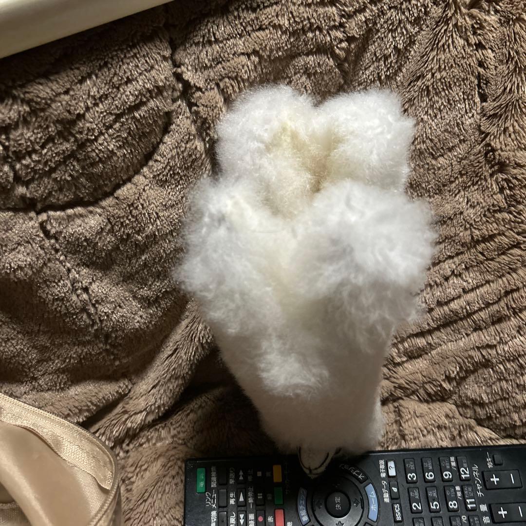 ペルー現地購入 アルパカぬいぐるみ5点セット