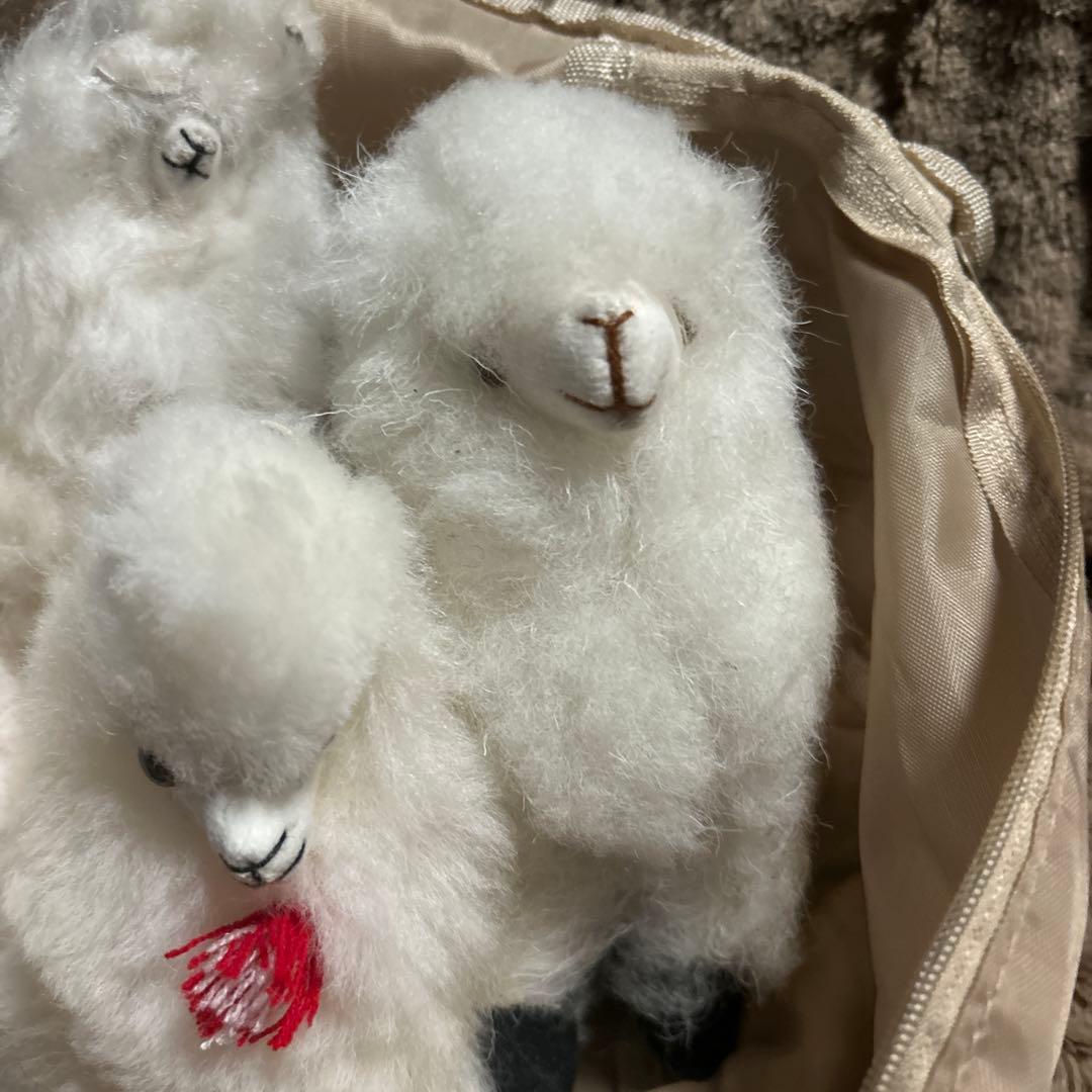 ペルー現地購入 アルパカぬいぐるみ5点セット