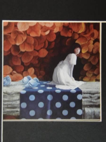 平林　孝央、アメフリ、希少画集画、高級新品額・額装付