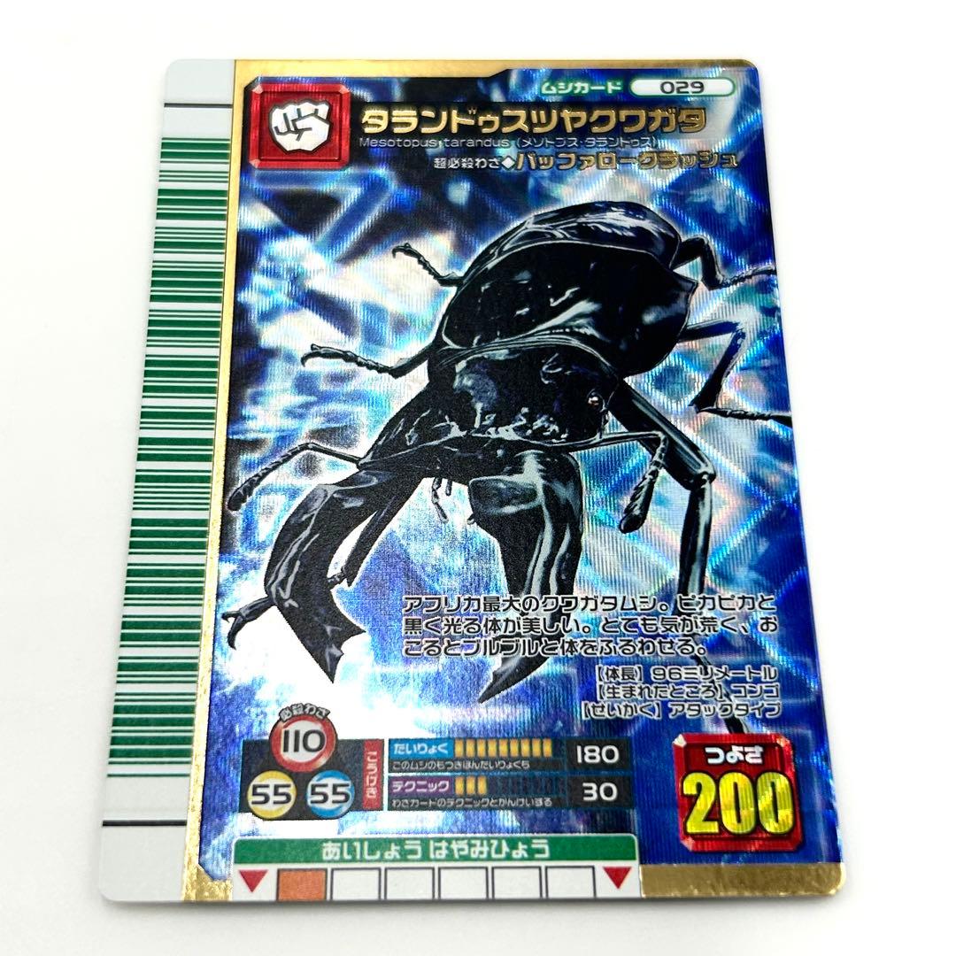 ムシキング】タランドゥスツヤクワガタ 2007ファースト - メルカリ