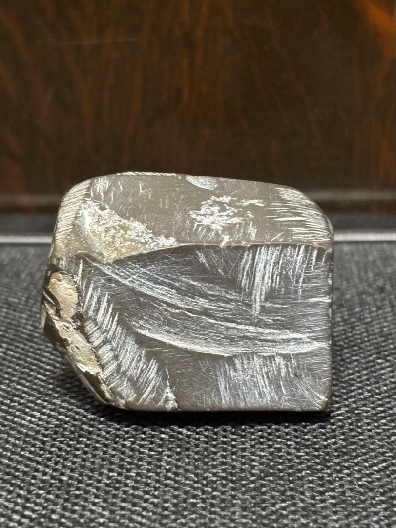 ニッポニテス ミラビリス 芦別上流産 化石 アンモナイト 超希少 良品