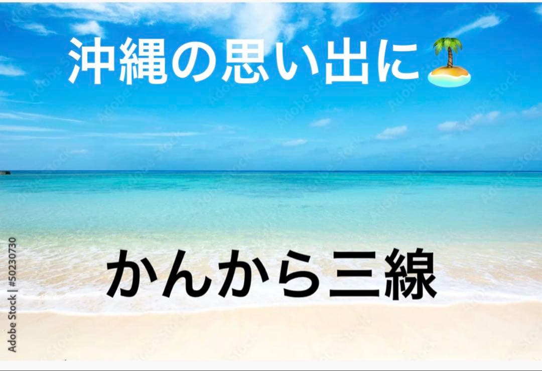 今月限定　かんから三線　2個セット