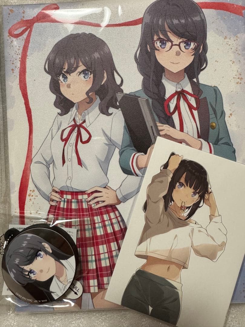 【未開封】 青春ブタ野郎はサンタクロースの夢を見ない アニプレックス特典 3点 Blu-ray&DVD | 青春ブタ野郎はサンタクロースの夢を見ない