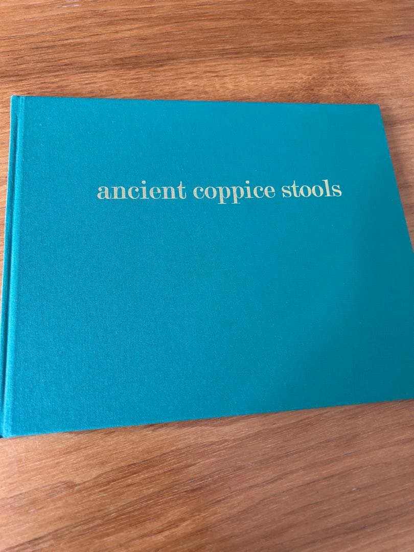 ポールハーデン paulharnden 100部限定　写真集