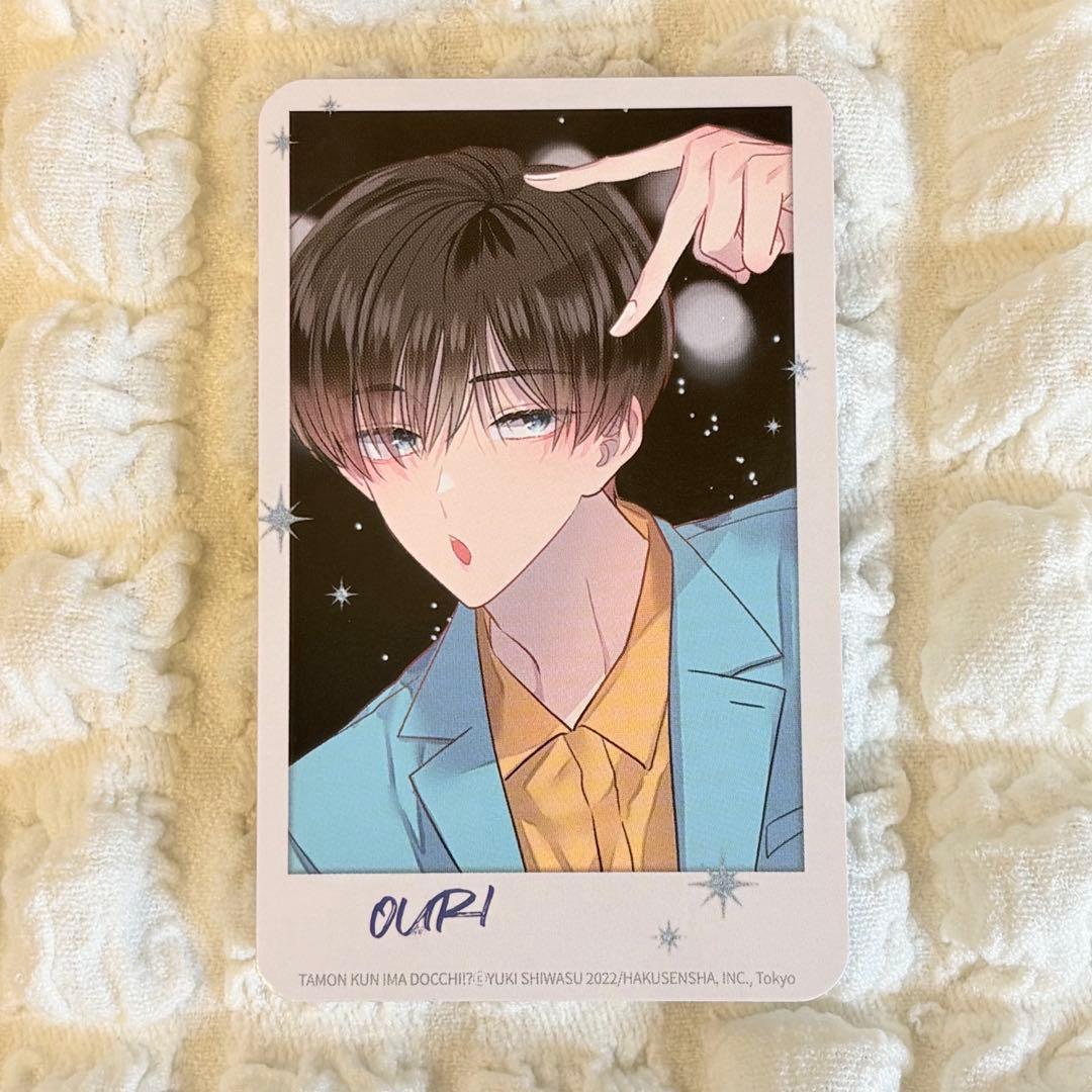 多聞くん今どっち!? 韓国 6巻 特典 フォトカード チェキ風カード 坂口