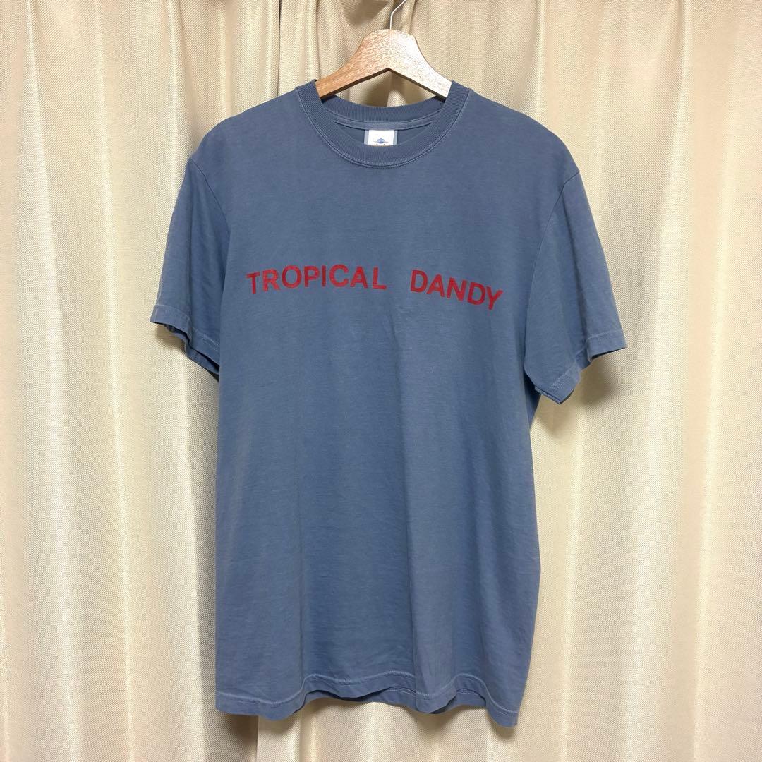 レア】細野晴臣 TROPICAL DANDY Tシャツ - メルカリ