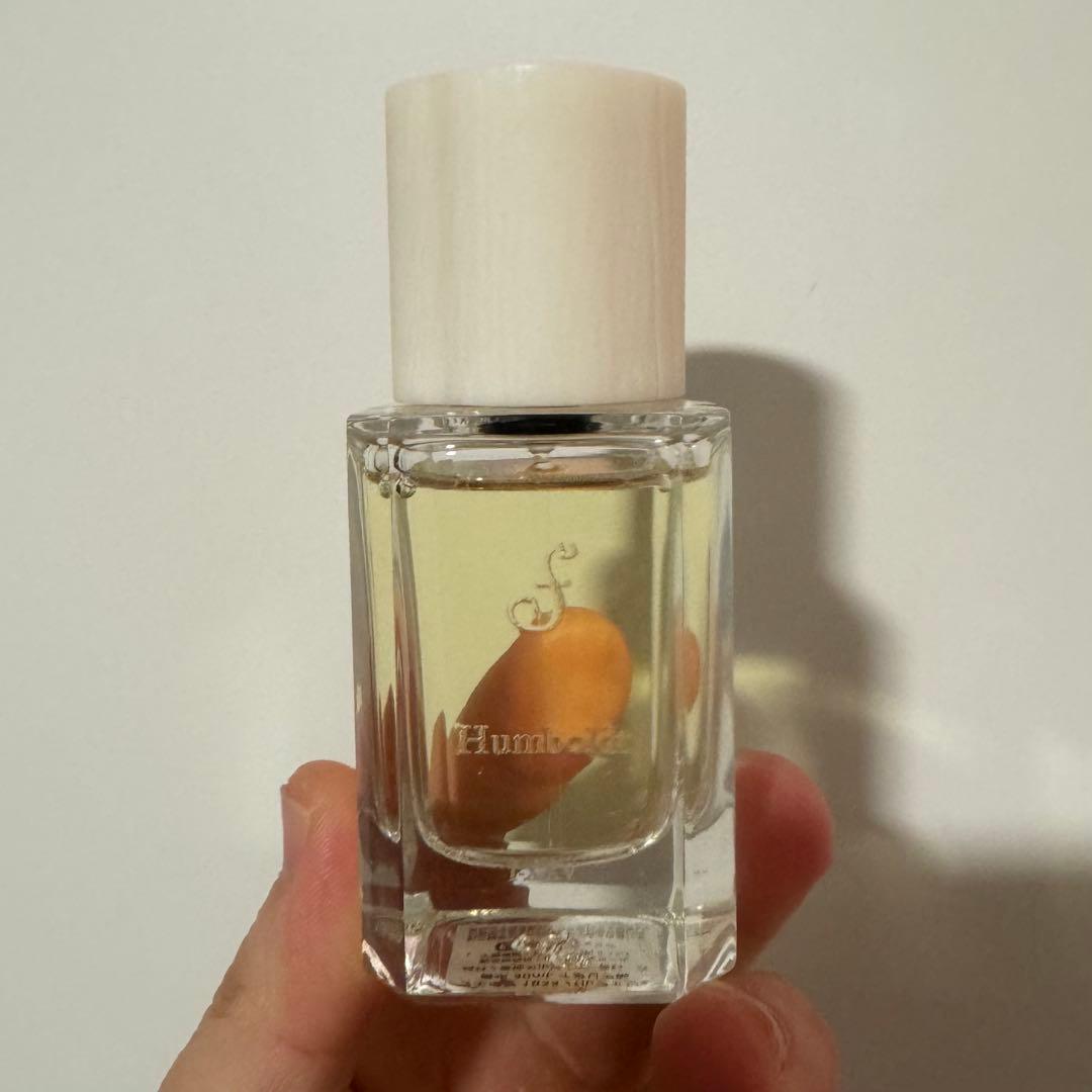 ほぼ未使用✦FUEGUIA Humboldt Ⅰ-ⅩⅩⅣ フエギア フンボルト