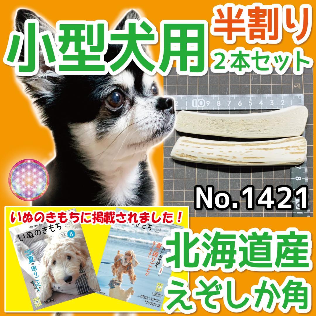 小型犬用 エゾ鹿の角 半割り 2本 北海道産 犬のおもちゃ 14219 - メルカリ