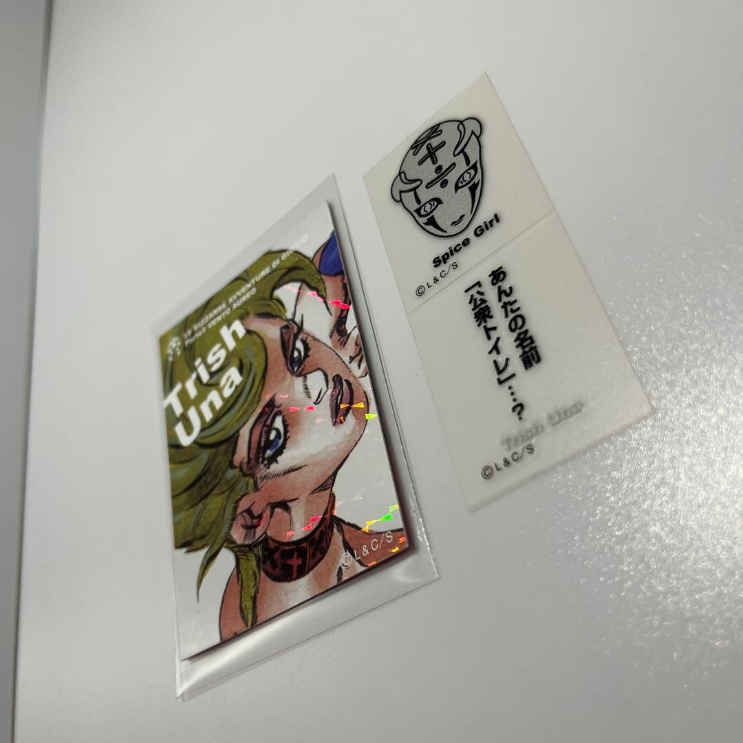 ジョジョの奇妙な冒険 リアルペイントシート 荒木飛呂彦 トリッシュ