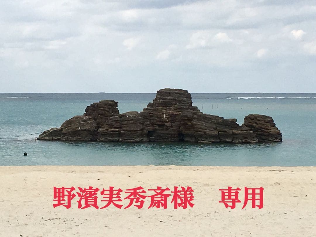 蝶標本　北海道産ミヤマカラスシジミ・オオイチモンジ♀ 野濱実秀斎