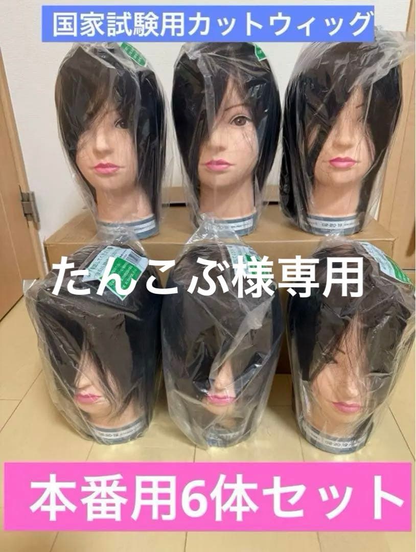国家試験用カットウィッグ6体