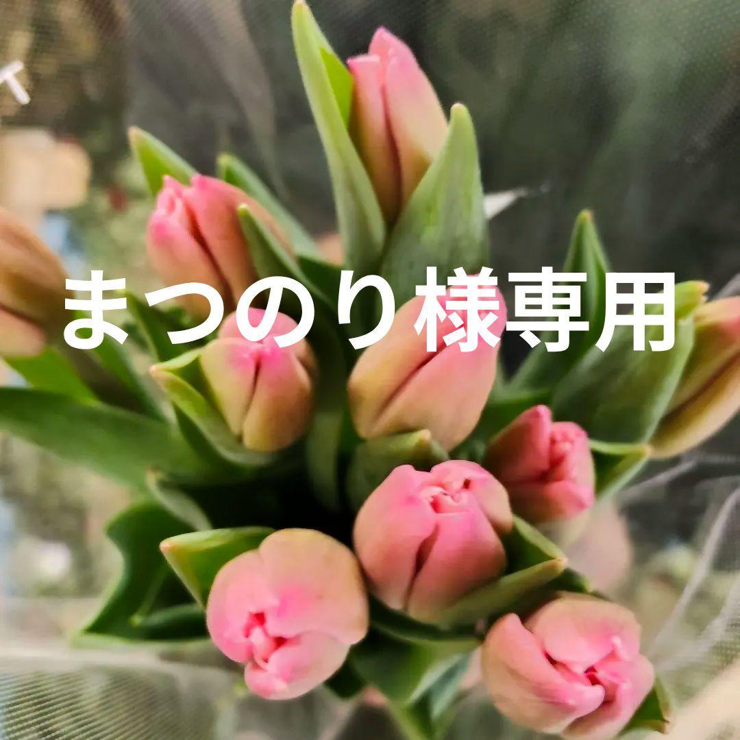 まつのり様 リクエスト 2点 まとめ商品 - メルカリ