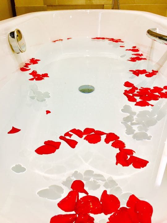 マイステイクール