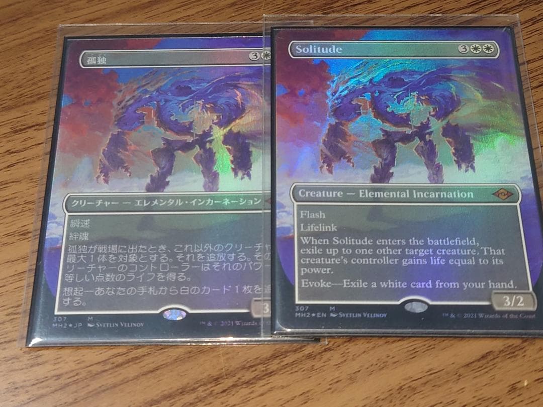 マジック：ザ・ギャザリング 孤独 ボーダーレスFoil 2枚 Amazon.co.jp: 【FOIL/ボーダーレス版】マジックザギャザリング DSC JP