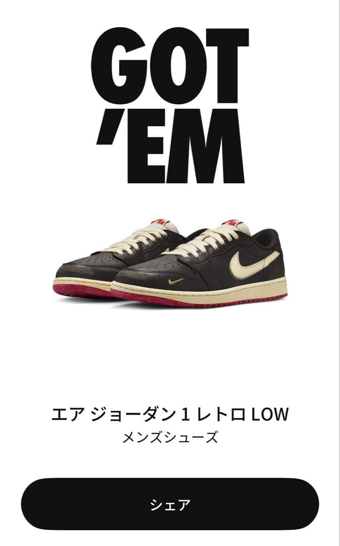 靴 Nike Air Jordan 1 low Nigel Sylvester
