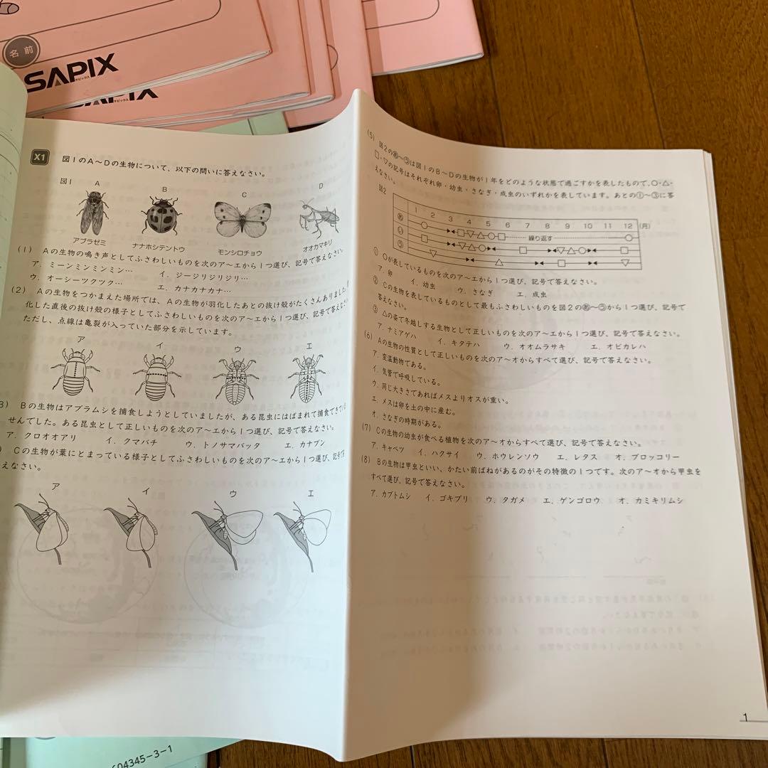 本日までタイムセールSAPIX 6年理科社会 夏期集中志望校錬成特訓セット
