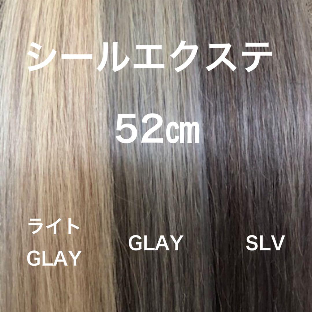 シールエクステ ロングストレート　メッシュカラー