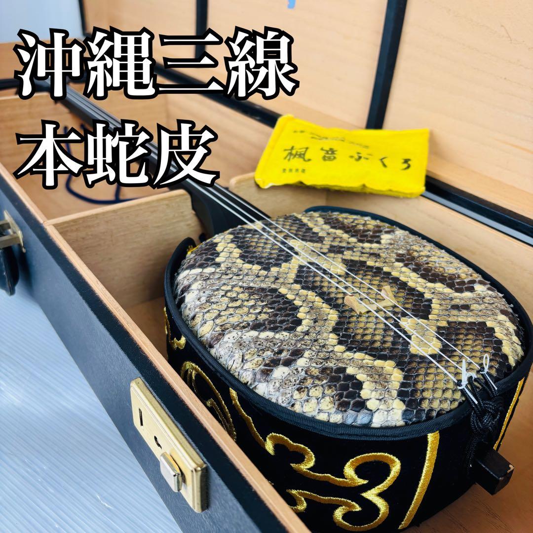 沖縄三線 本蛇皮 琉球 民族楽器 伝統楽器 入門 初心者 本格 琉球 弦楽器