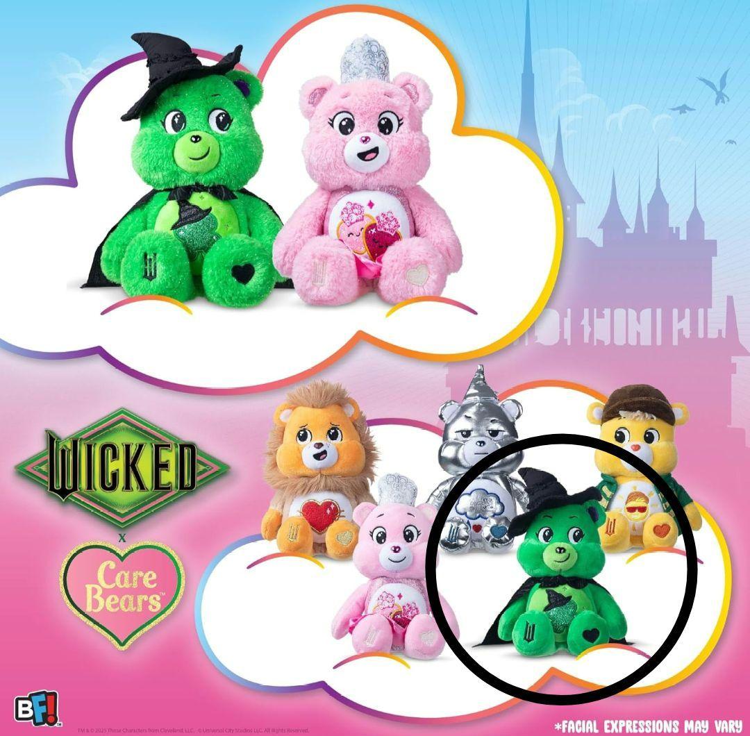 日本未発売】Wicked×CareBears ケアベアぬいぐるみ エルファバ - メルカリ