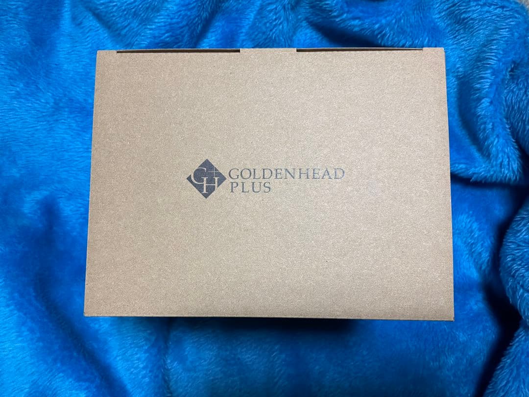 ブルーアーカイブ　ヒビキ　　フィギュア