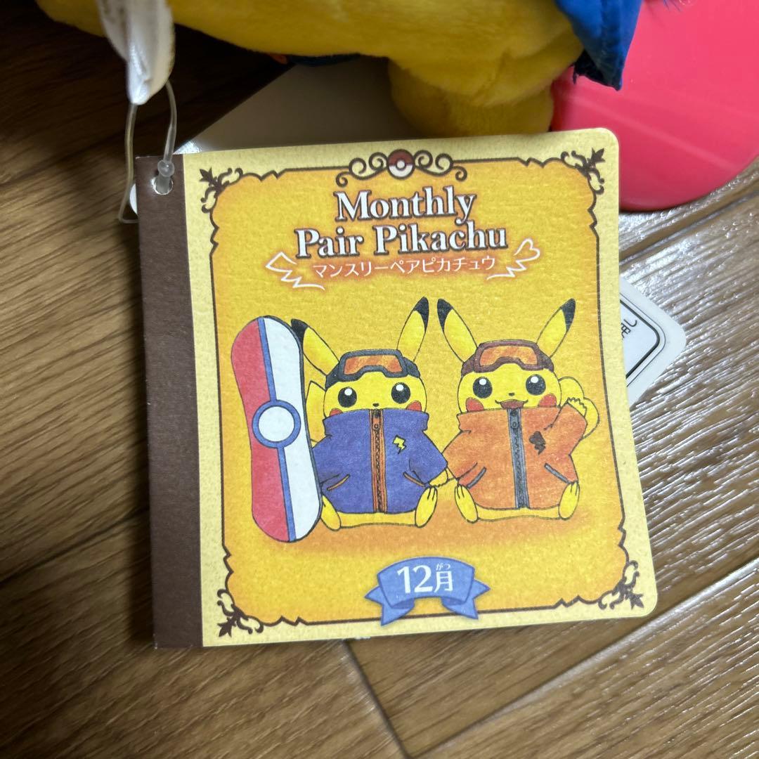 マンスリーペアピカチュウ 12月 スノーボード ぬいぐるみ - メルカリ