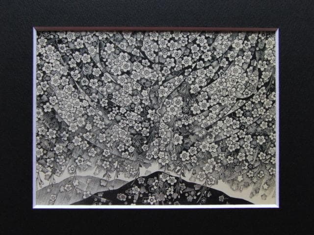 富張広司、【大平山のさくら】、希少画集画、風景、自然、さくら