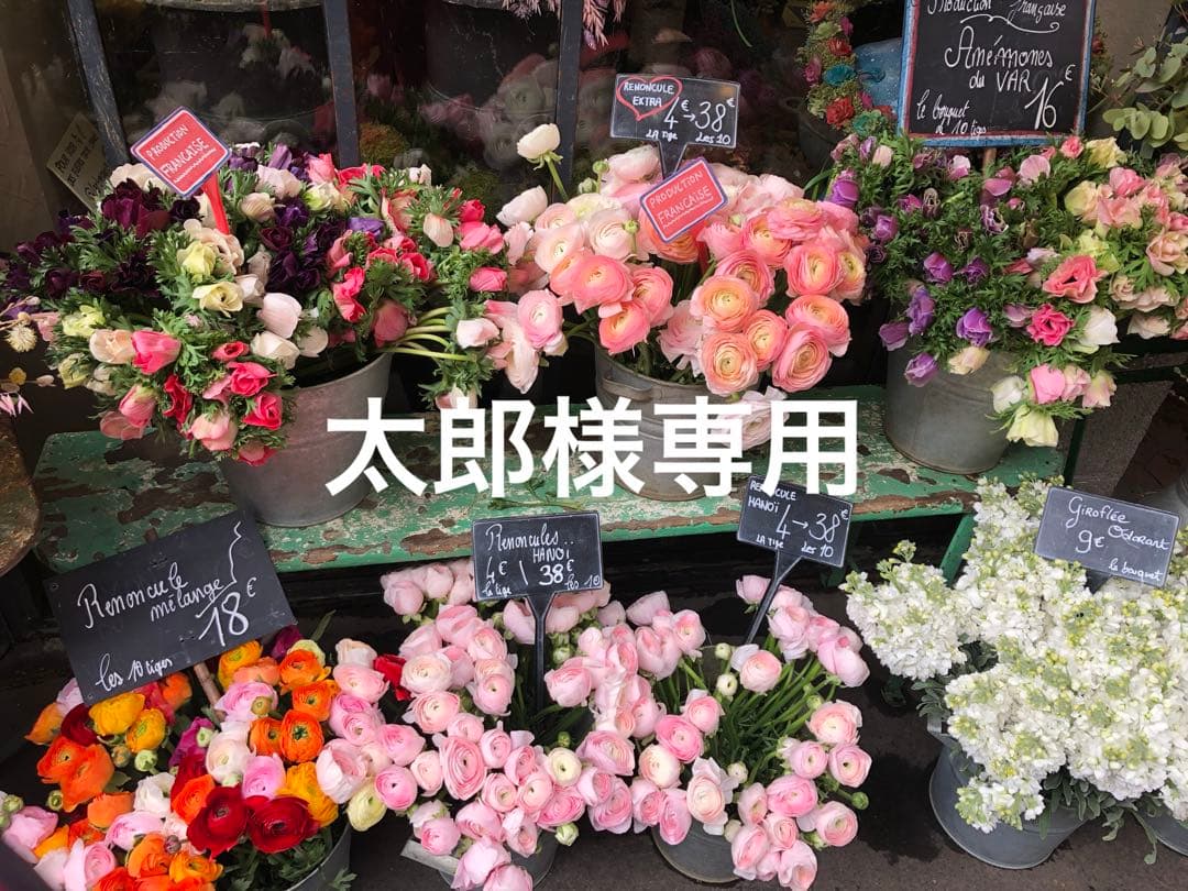 太郎　新品 アレクサンドルドゥパリ kidsシュシュ