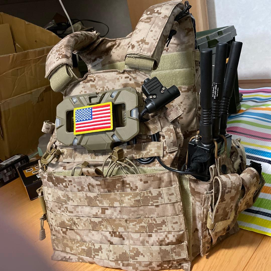 FLYYE製　プレートキャリア　AOR1