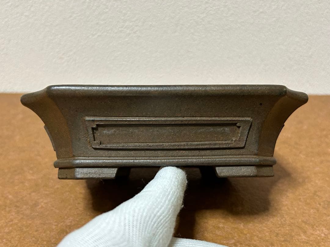 小松泉　秋静庵　小品盆栽　山野草