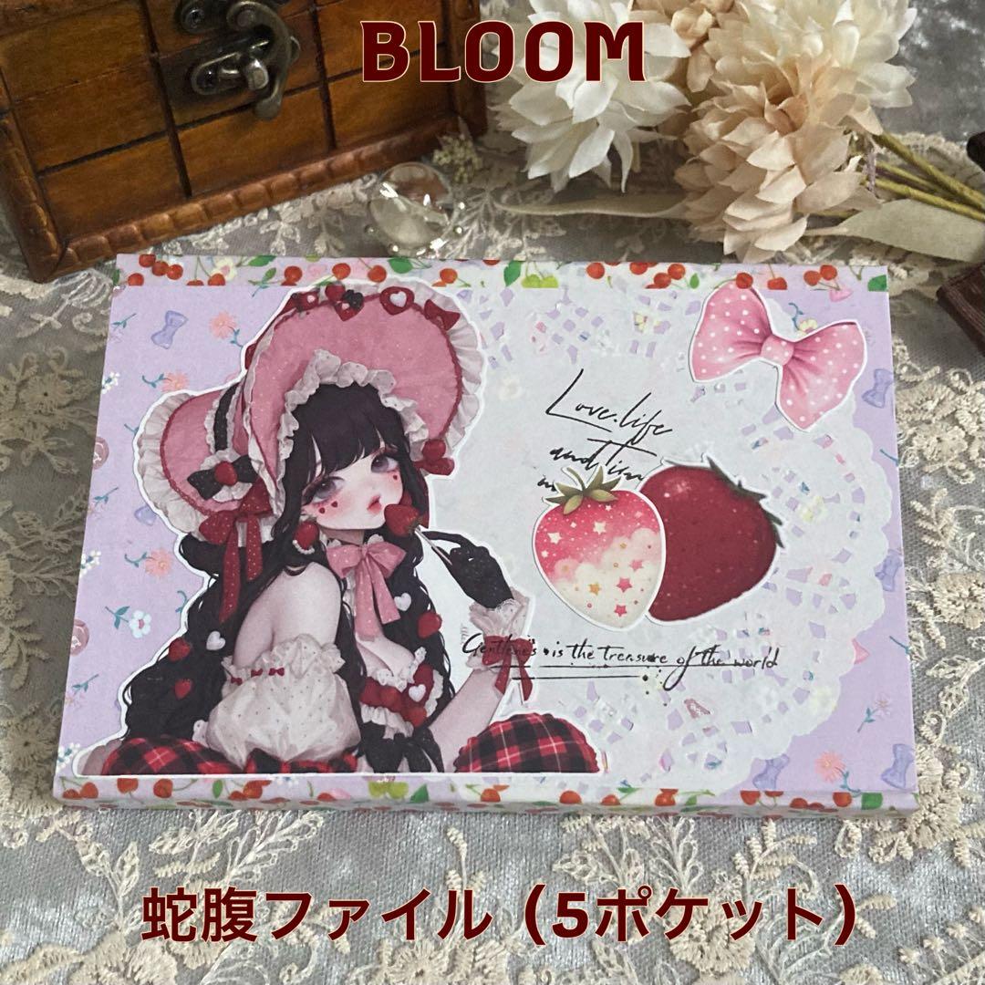 teatime様 ハンドメイド 蛇腹ファイル - メルカリ