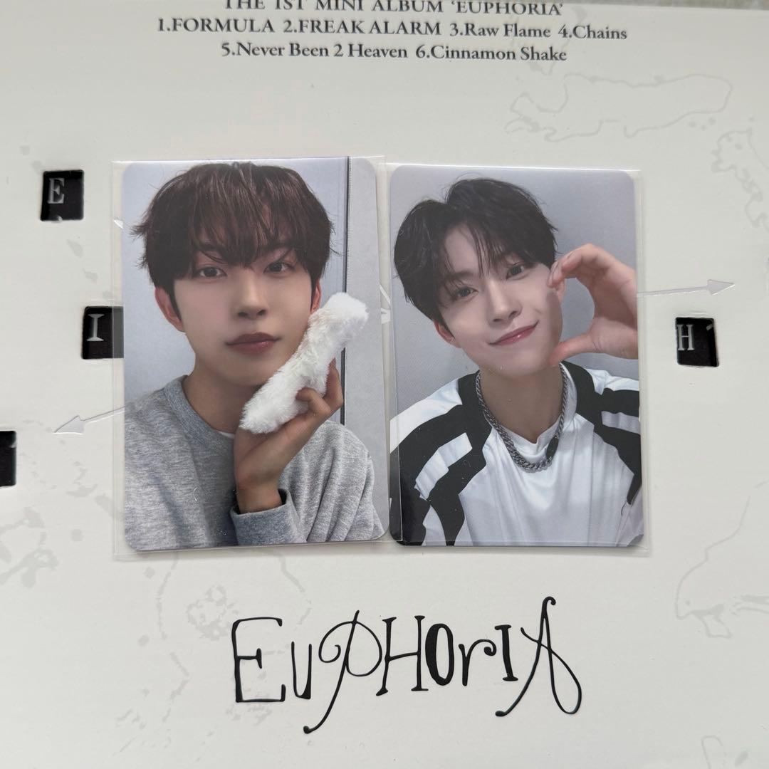 ALD1 ショケ トレカ 1部 ゴヌ - メルカリ