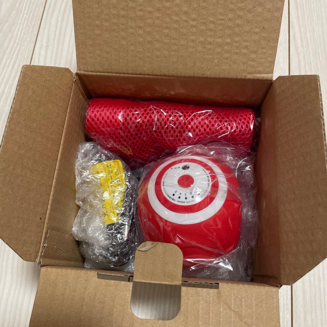 スタイリーボール(体幹サポートベルト付き)