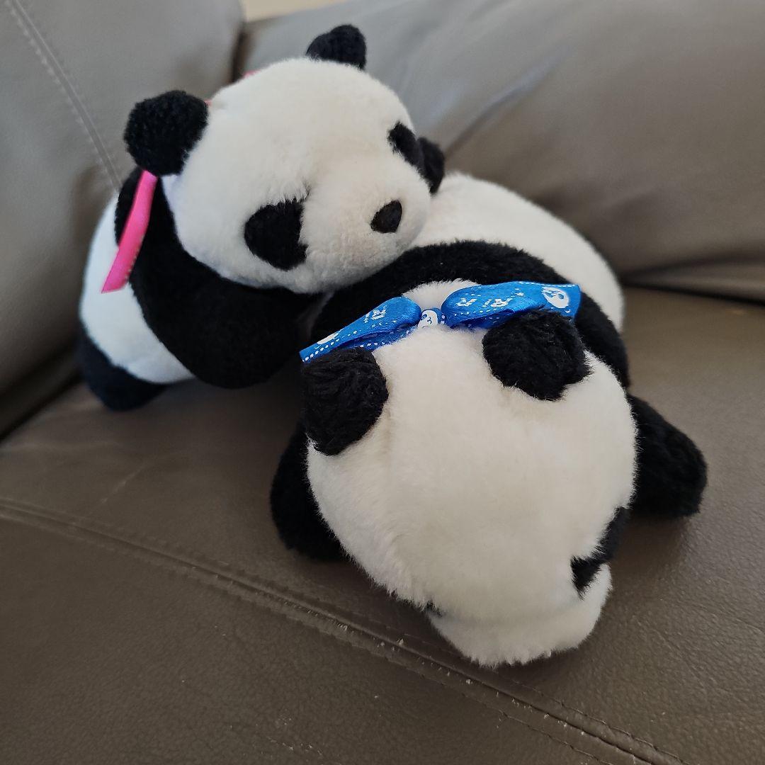 上野動物園 シンシンとリーリー ぬいぐるみ - メルカリ