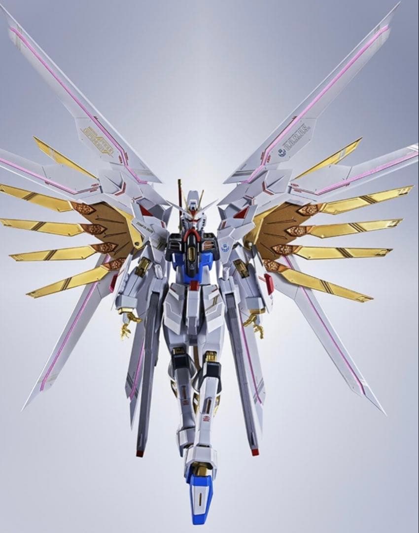 メタルロボット魂ストライクフリーダム弐式、プラウドディフェンダーセット