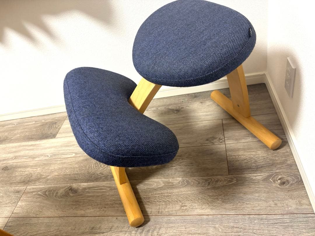 Rybo リボ社 姿勢矯正チェア Balans EASY バランスイージー